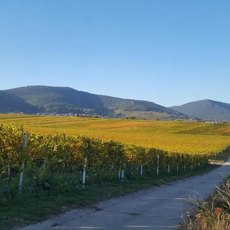 Haus Waldblick - Ferienwohnung Sonnenplätzchen, *