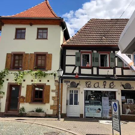 Haus Waldblick - Ferienwohnung Sonnenplätzchen, *