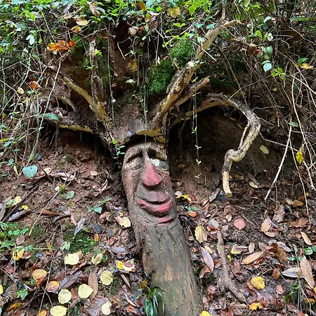 Apartment Haus Waldblick - Sonnenplaetzchen, Bad Bergzabern