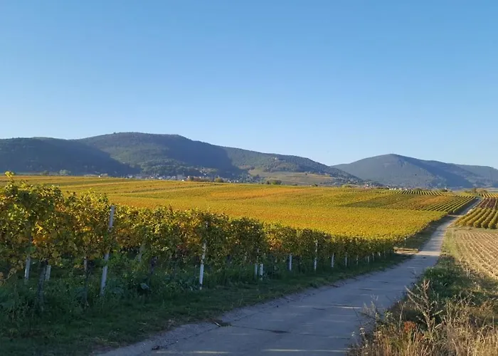 Haus Waldblick - Sonnenplaetzchen, *